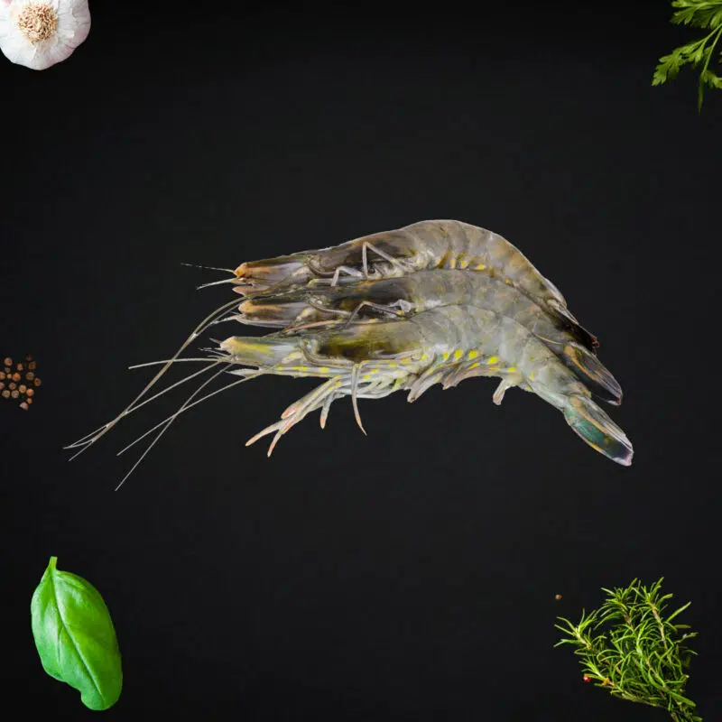 Black Tiger Prawn