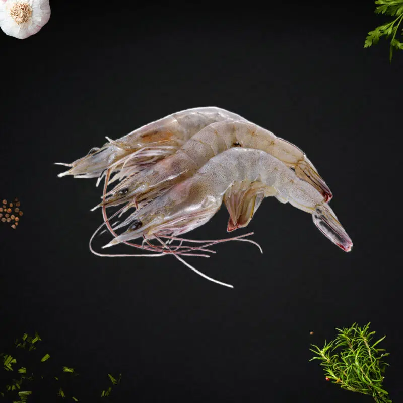Vannamei Prawns frozen singapore