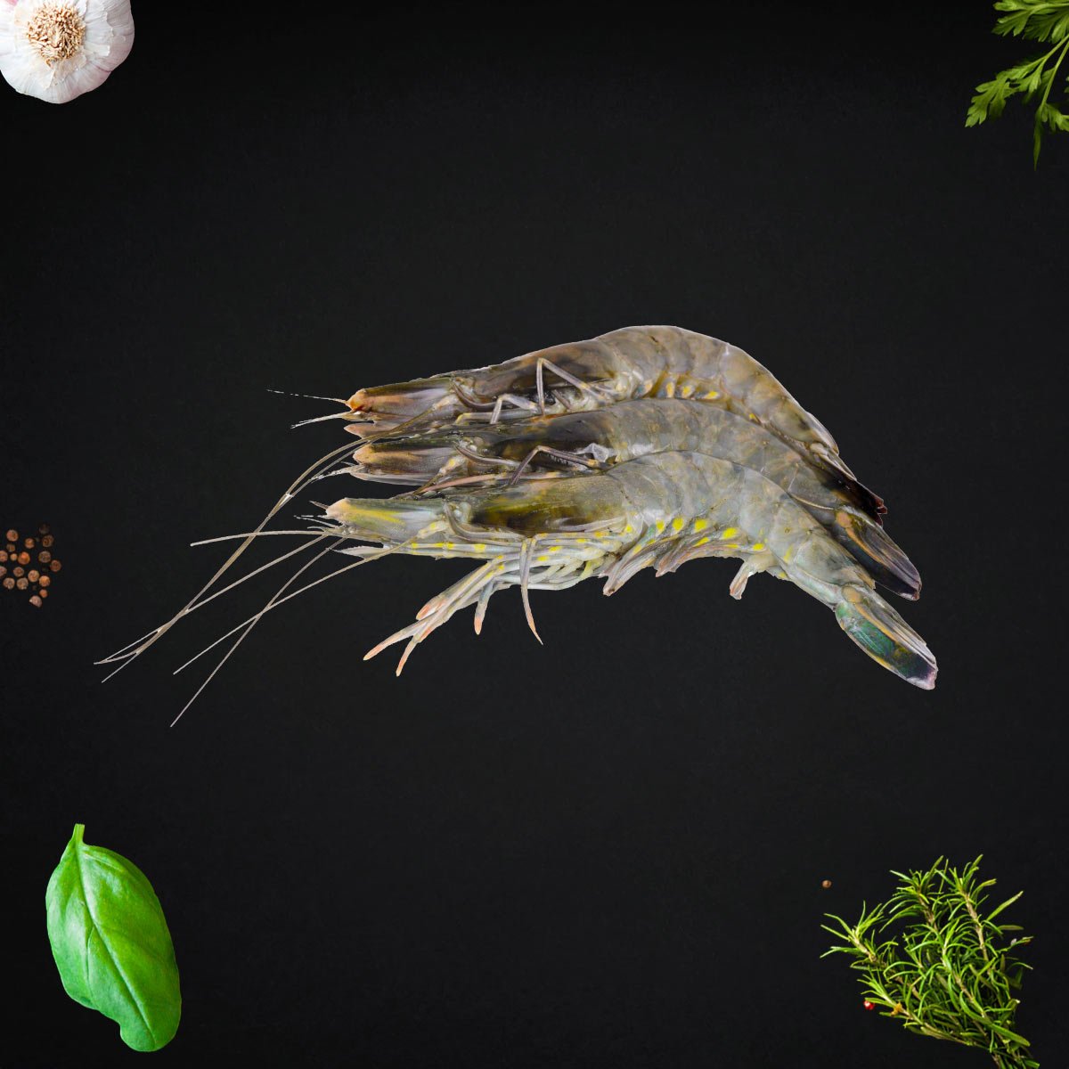 black-tiger-prawns-singapore-outback-1.jpg Black Tiger Prawn - Image 1